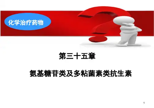 04氨基糖苷类抗生素