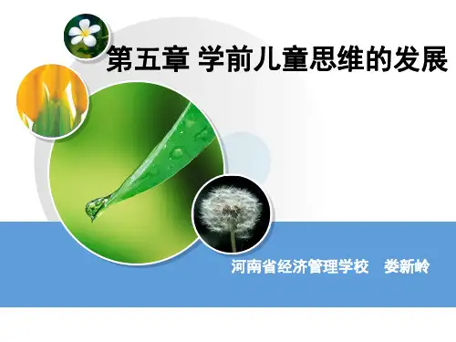 学前儿童思维的发展学前儿童思维发展的特点
