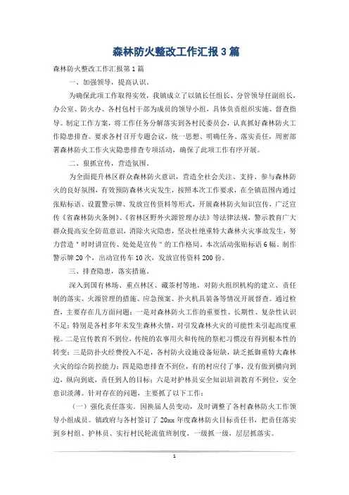 森林防火整改工作汇报3篇