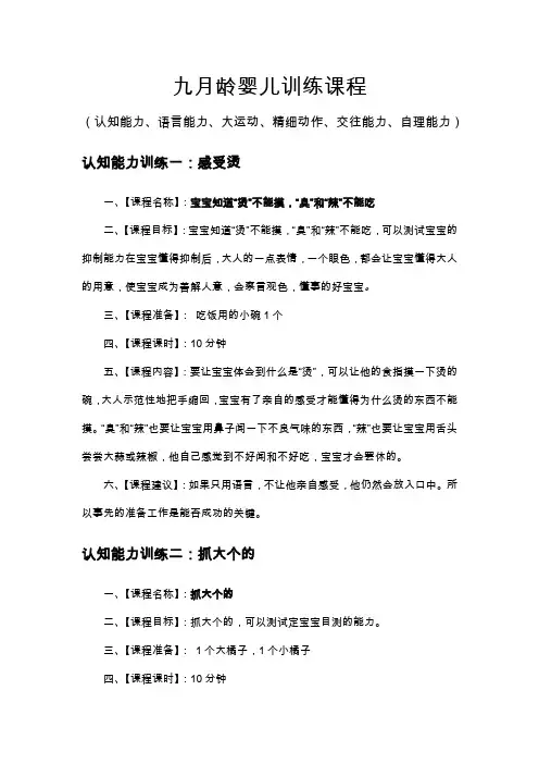 九月龄婴儿训练课程(认知能力、语言能力、大运动、精细动作、交往能力、自理能力)