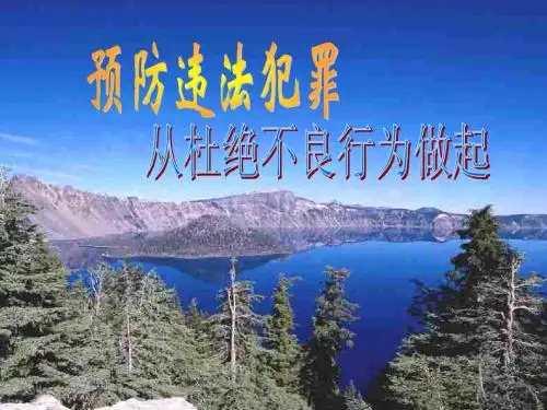 预防违法犯罪,从杜绝不良行为做起(完整版)