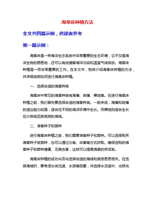 海草床种植方法
