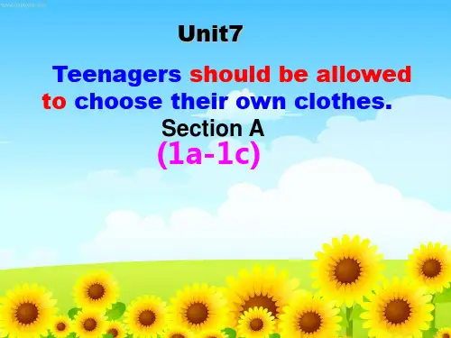 人教目标九年级英语Unit7(全单元课件) (共69张PPT)