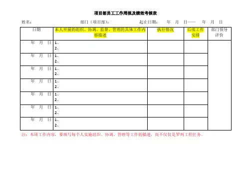 项目部工作周报样式