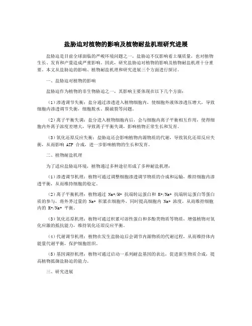 盐胁迫对植物的影响及植物耐盐机理研究进展