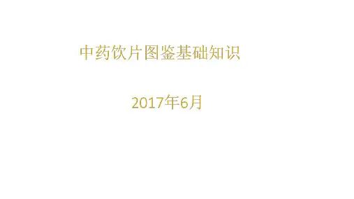 中药饮片图鉴基础知识(1)