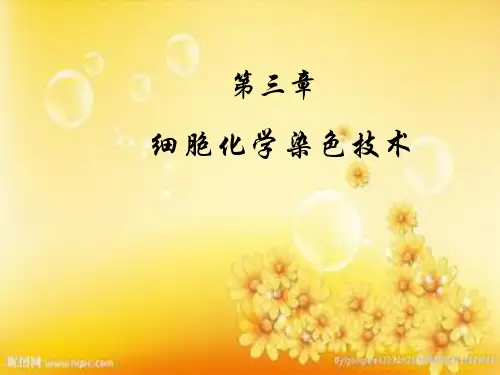 血液学血细胞化学染色