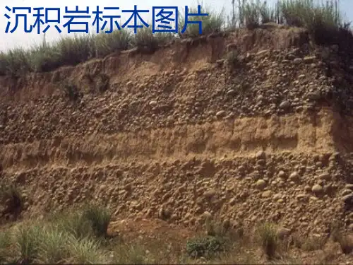 沉积岩标本图片(学习资料)