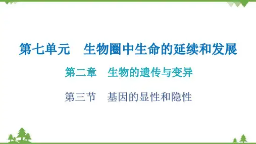 人教版生物八年级下册 第七单元第二章 第三节  基因的显性和隐性习题课件(共24张PPT)