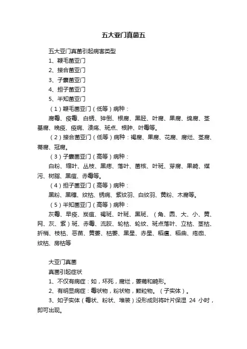 五大亚门真菌五