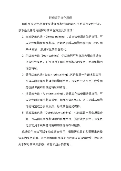 酵母菌的染色原理
