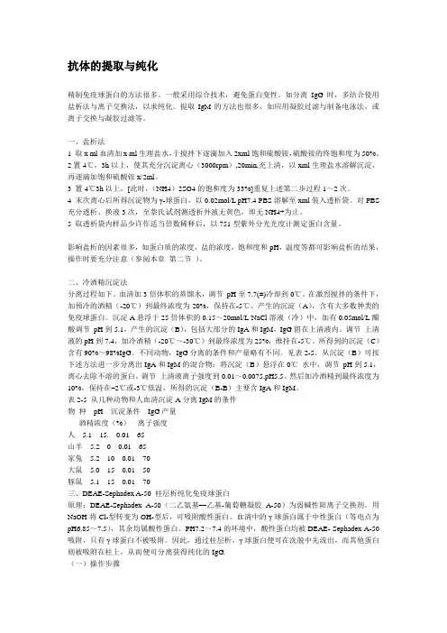 抗体的提取与纯化
