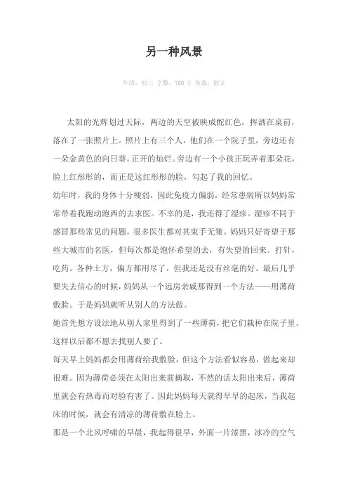 另一种风景700字作文