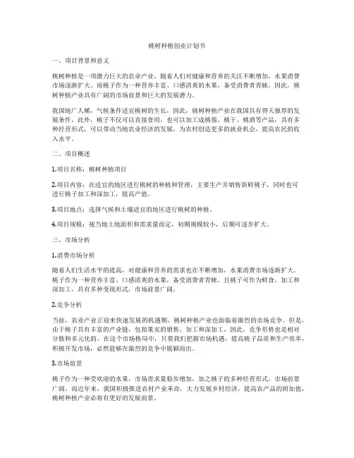 桃树种植创业计划书
