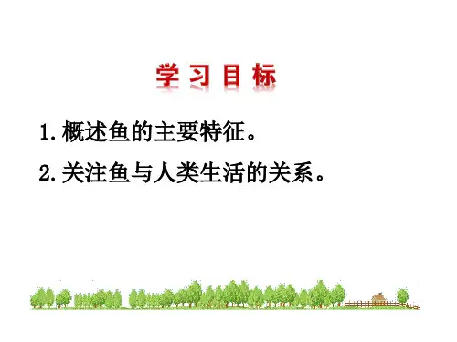 新人教版八年级生物上册第一章第四节鱼上课用ppt课件