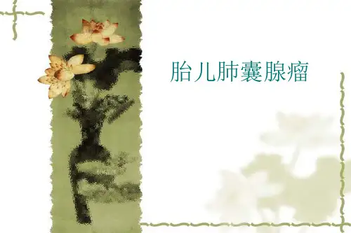 胎儿肺囊腺瘤