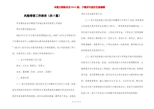风险排查工作报告(共4篇) 