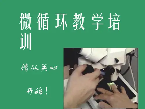 微循环教学培训 ppt课件