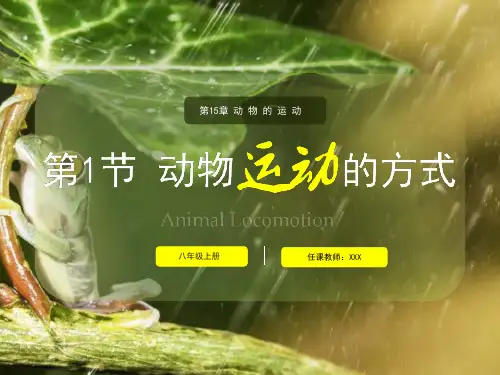 15.1 动物运动的方式 北师大版八年级上册生物课件(共26张PPT)