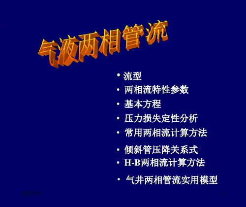 气液两相管流