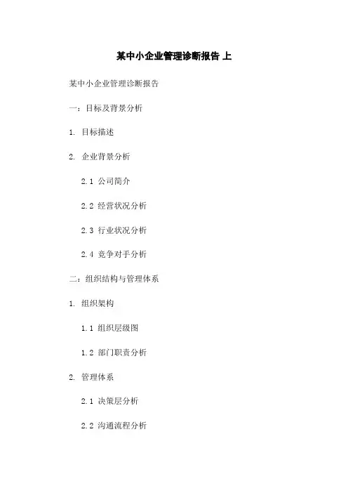 某中小企业管理诊断报告 上