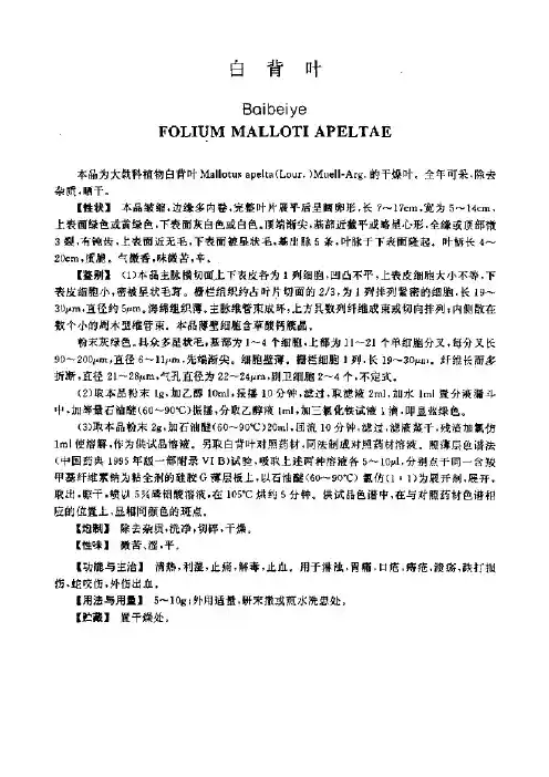 白背叶