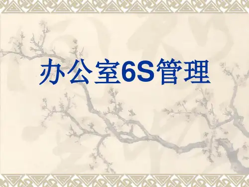 行政办公室6S管理(重要).