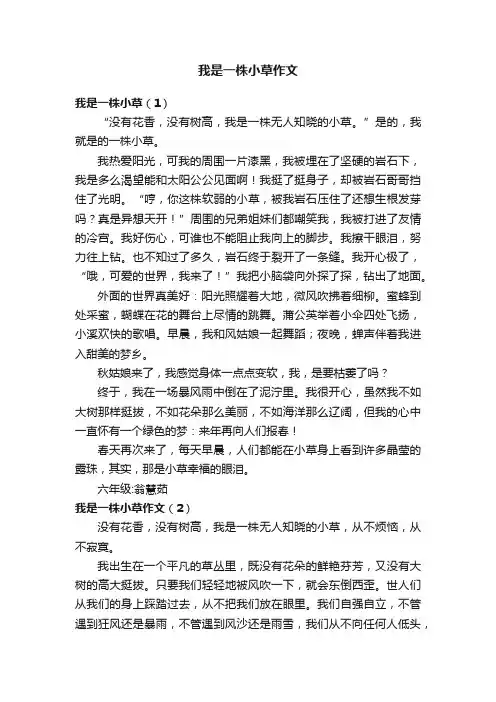 我是一株小草作文