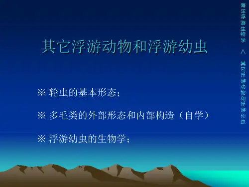 其它浮游动物和浮游幼虫