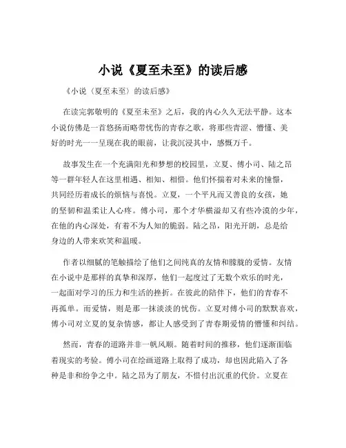 小说《夏至未至》的读后感