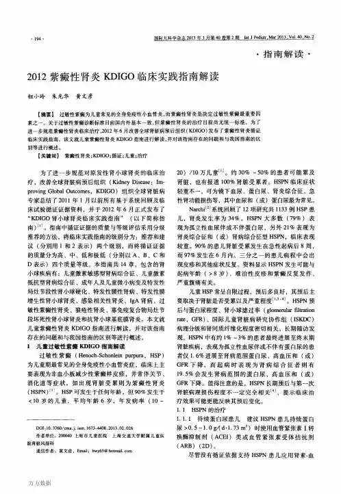 2012紫癜性肾炎临床实践指南解读