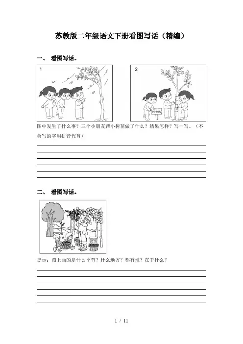 苏教版二年级语文下册看图写话(精编)