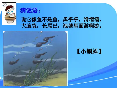 二年级上册第一课《小蝌蚪找妈妈》(部编版)