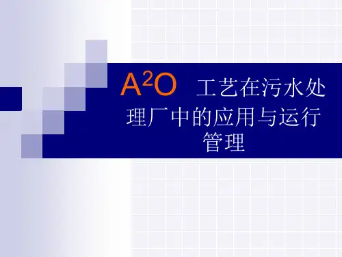 A2O工艺培训课件