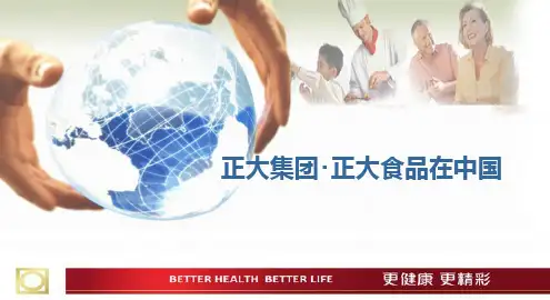 正大集团简介 