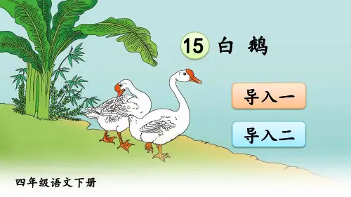 部编版小学四年级语文下册第15课《白鹅》优质课件