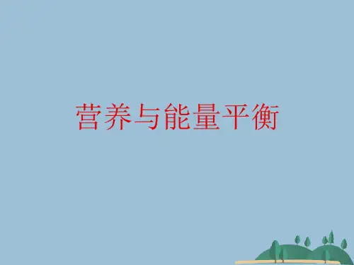 营养与能量平衡 