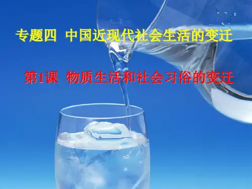高中历史必修二 物质生活和社会习俗的变迁4.1