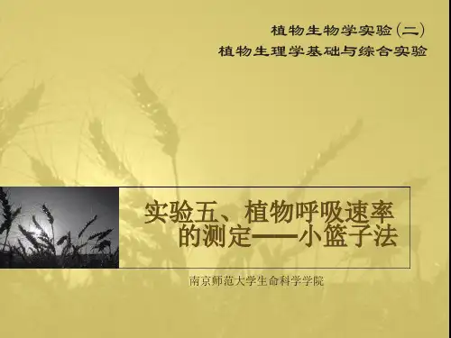 实验五、植物呼吸速率的测定