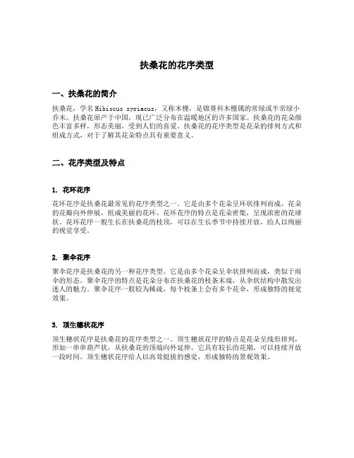 扶桑花的花序类型