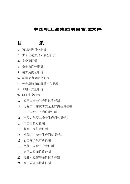 中国核工业集团项目管理文件(1)