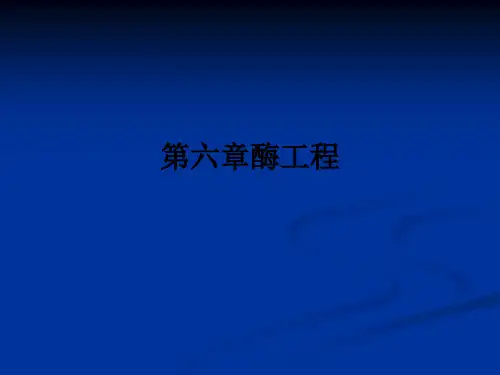 第六章酶工程ppt课件