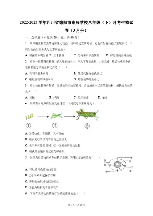 四川省绵阳市东辰学校2022-2023学年八年级下学期3月份月考生物试卷