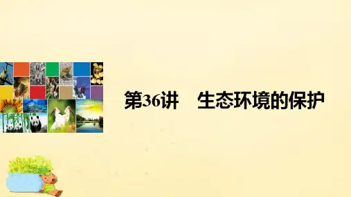 【步步高】(全国通用)2017版高考生物一轮复习 第九单元 生物与环境 第36讲 生态环境的保护课件 新人教版