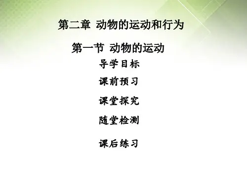 人教版八年级生物上册课件第二章  第一节 动物的运动 (共29张PPT)