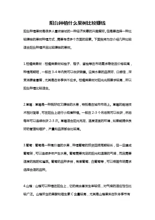 阳台种植什么果树比较赚钱