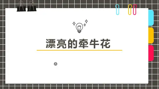 少儿美术创意PPT课件《漂亮的牵牛花》