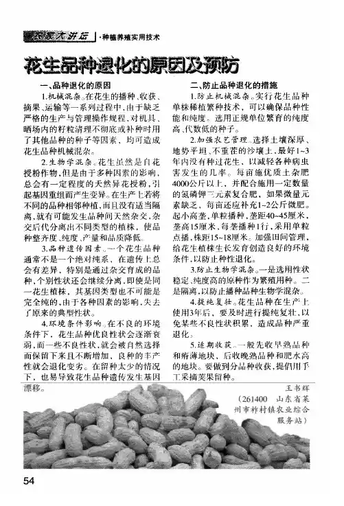 花生品种退化的原因及预防