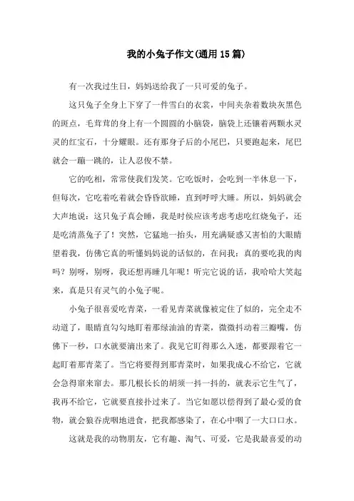我的小兔子作文(通用15篇)精选