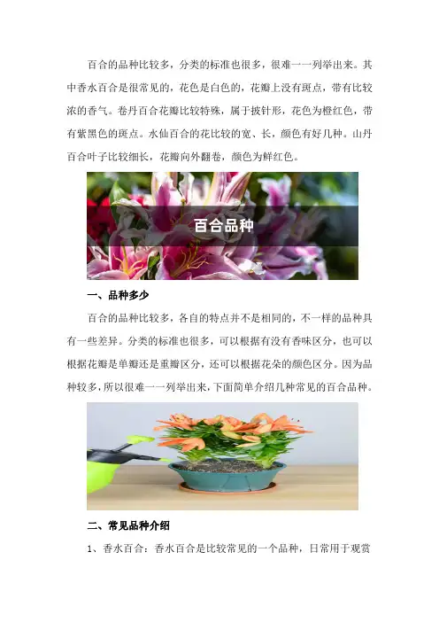 百合品种,什么样的百合能吃